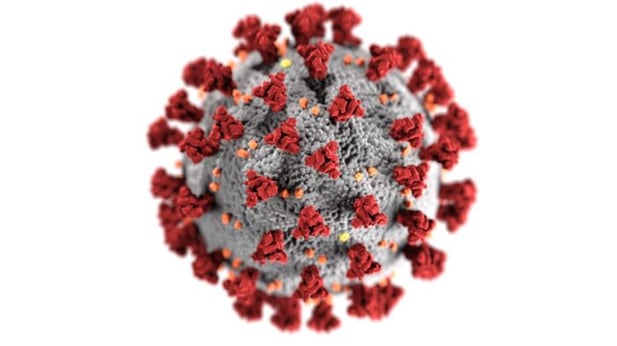 coronavirus-1