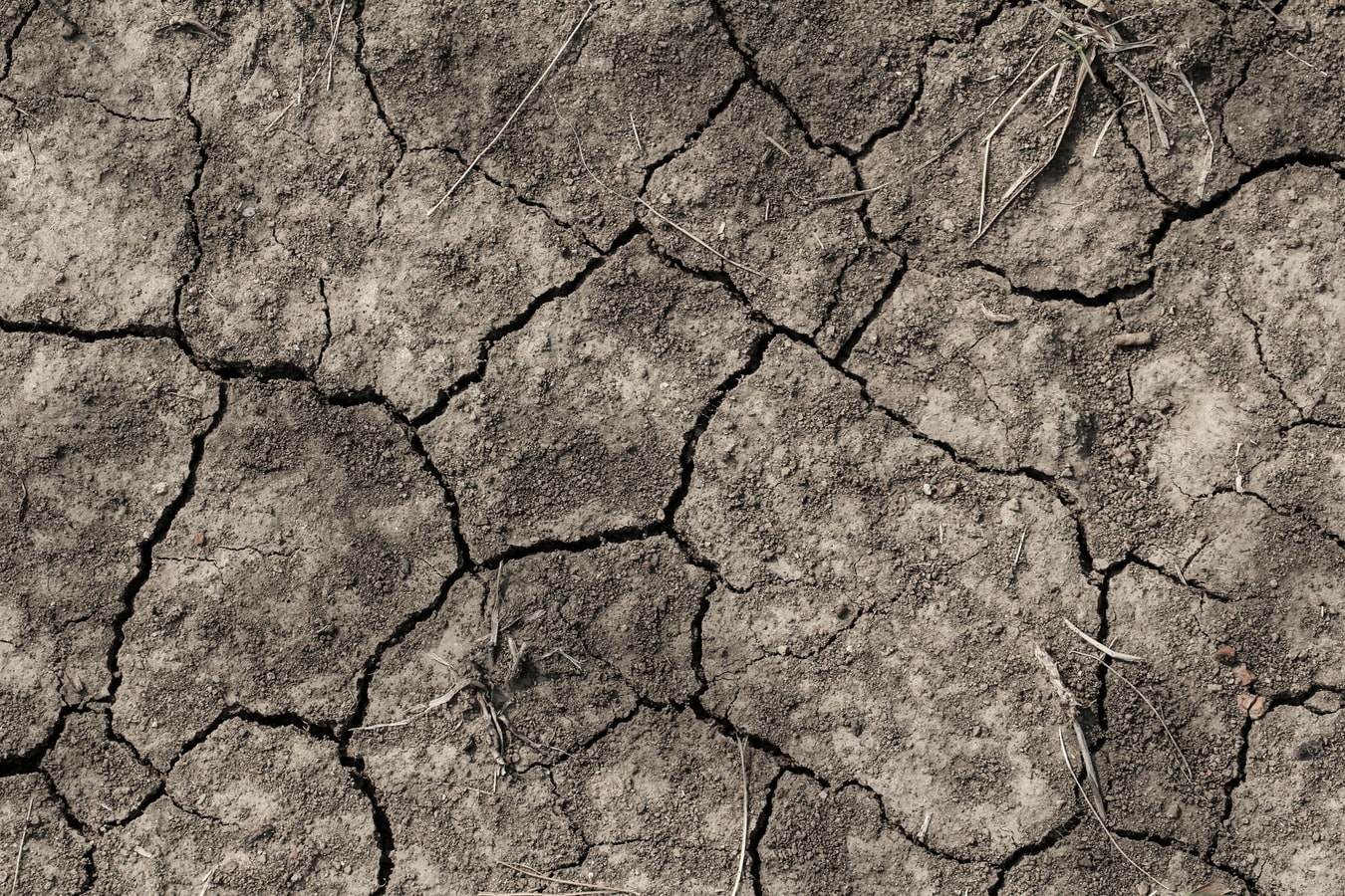 drought-climate-change