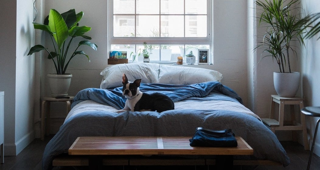 How to Reduce Light Pollution in the Bedroom: Simple Tips for Better Sleep